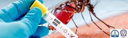 Most viral diseases Dengue Fever in 2024