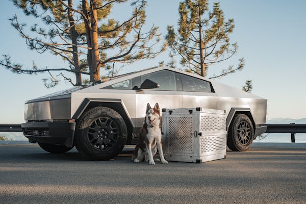 tesla cybertruck interior